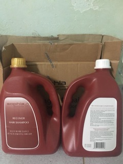 DẦU GỘI PHỤC HỒI TÓC HƯ TỔN 3785ml
