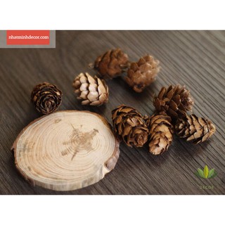 Set đồ khô trang trí chụp ảnh 10 món