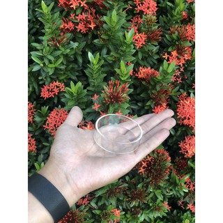 Chén Đựng Thức Ăn Tép Cảnh