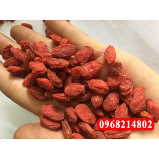 Hạt giống cây câu kỷ tử mọc tỉ lệ 99%