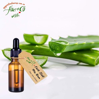 Chiết Xuất Nha Đam