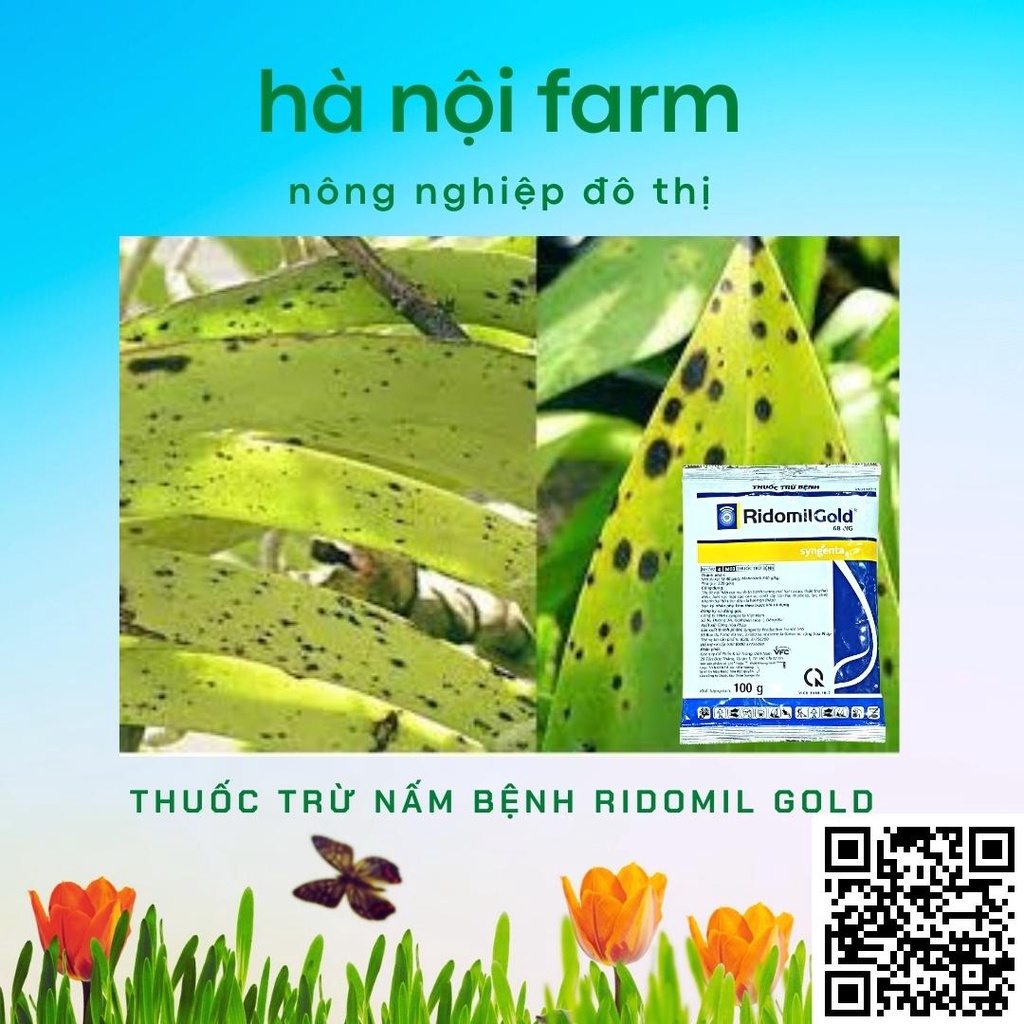 Ridomil Gold 68WP gói 100g