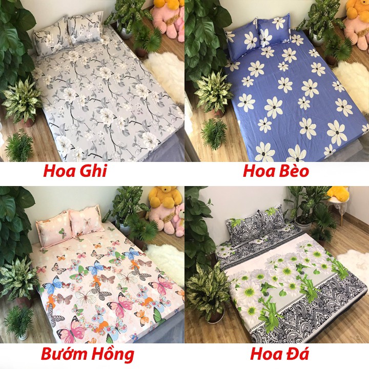 Bộ Ga gối Cotton Poly Các Mẫu Hót Nhất 2019