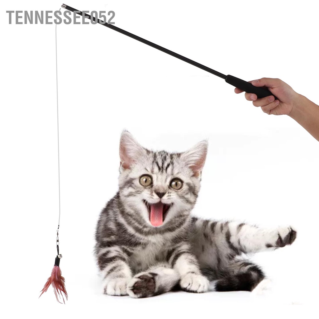 Tennessee052 Đồ chơi mèo tương tác Kháng vết cắn Mèo có thể thu vào Đũa phép chuông cho con 180cm / 70 9in