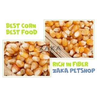 Bắp hạt 100g cho hamster, sóc