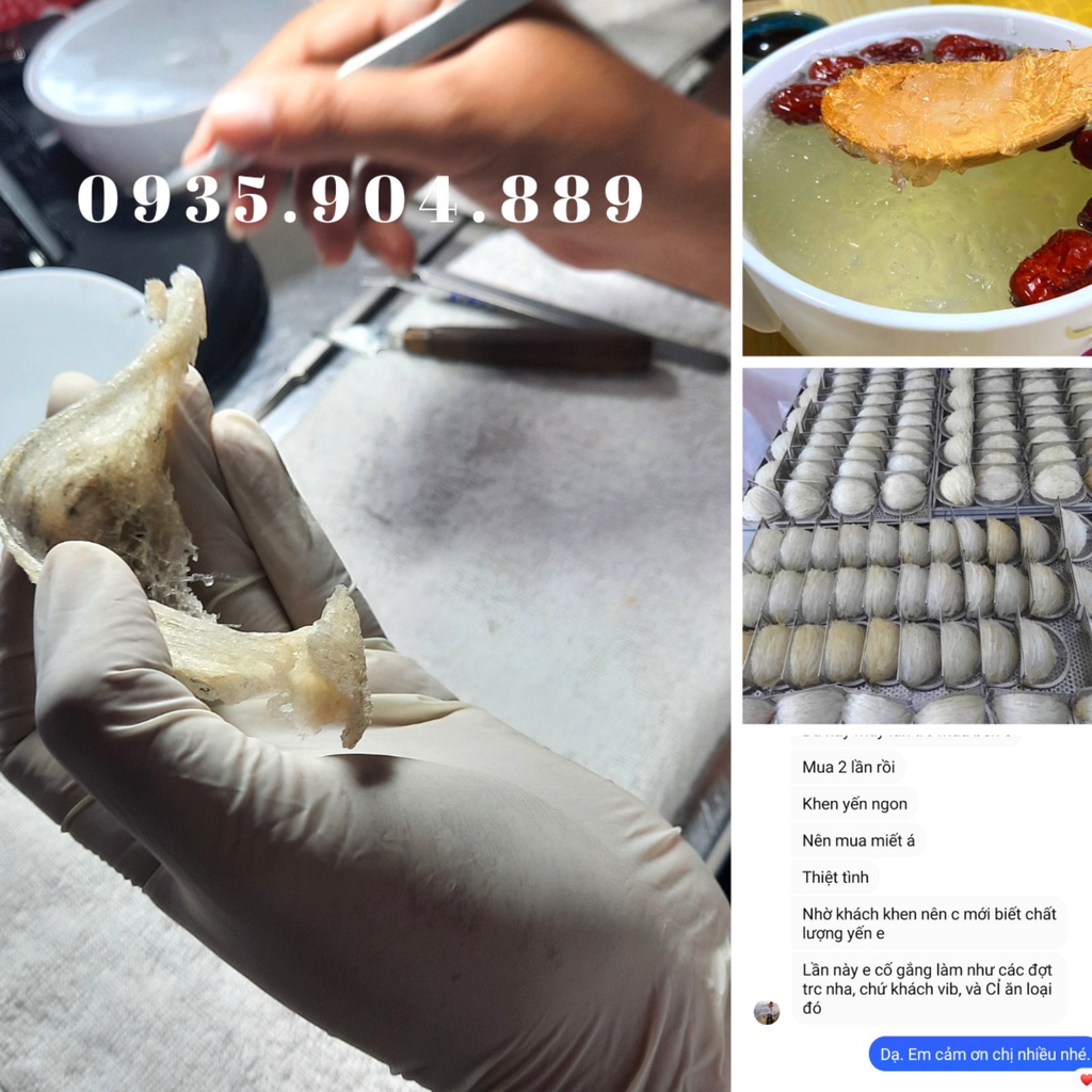 Tổ Yến Sào Tinh chế sợi ngắn tặng kèm nguyên liệu chưng