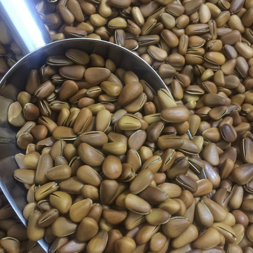 Hạt Thông Polinuts Nhập Khẩu Mỹ Loại Size Đại Giá Tốt Hũ 300g / 400g / 500g | BigBuy360 - bigbuy360.vn