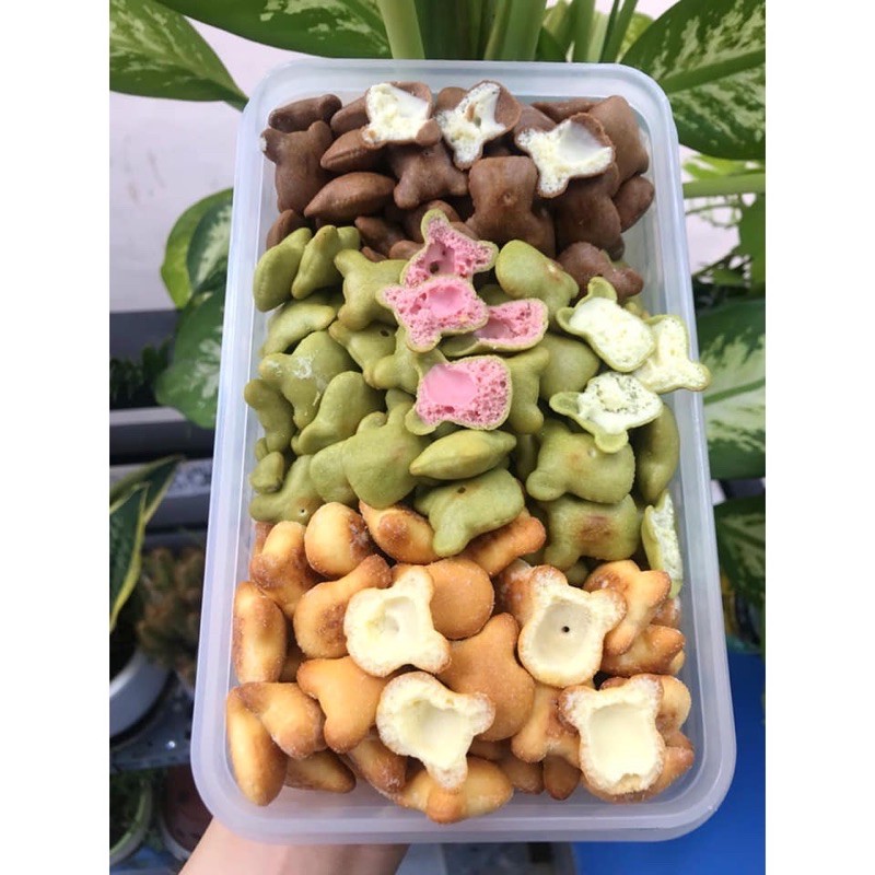 BÁNH GẤU MIX 3 VỊ: TRUYỀN THỐNG, CHÙM NGÂY &amp; CAFE