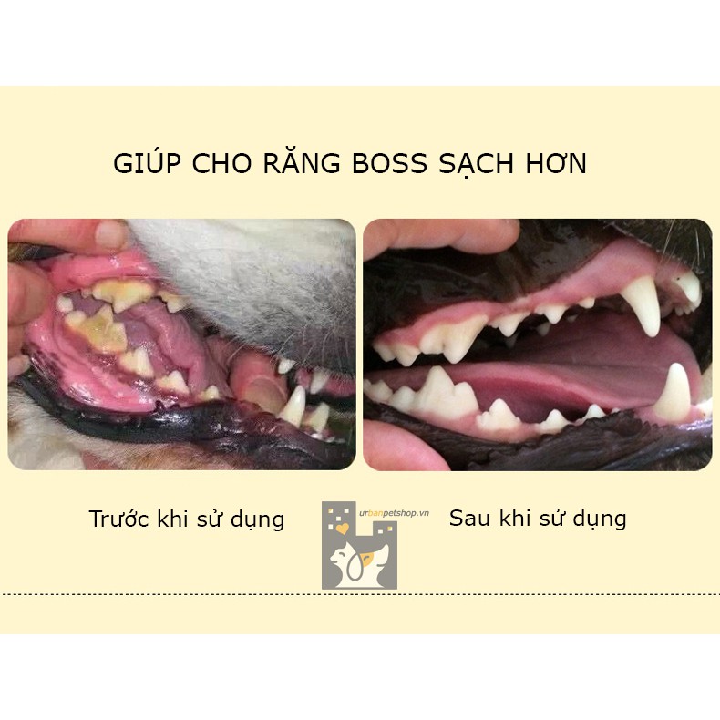 URBAN_GÀ MẬT ONG QUẤN XƯƠNG SỮA DR.DINGO_SNACK SẠCH RĂNG CHO CHÓ