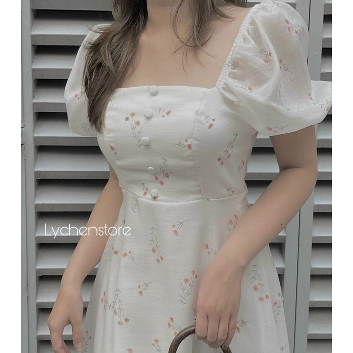 ĐẦM HOA NHÍ ĐÍNH NÚT