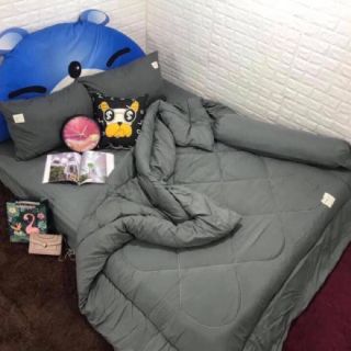 Sét trần phao cotton citi