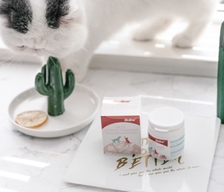 [ SỈ ] Bột cầm máu Bioline 14g