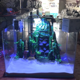 Combo hồ 50cm có thác cát lớn có đèn có máy lọc có máy oxi hồ đúc thuỷ sinh hồ cá cảnh đc mài vi tính