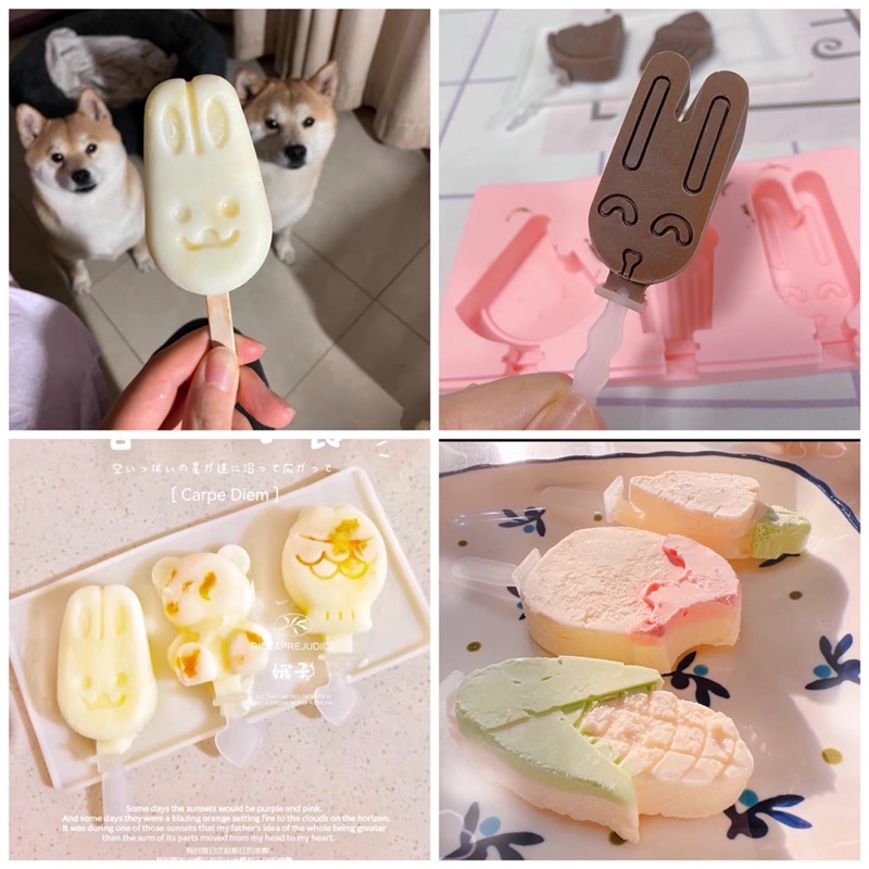 Khuôn làm kem silicon kèm nắp kèm que