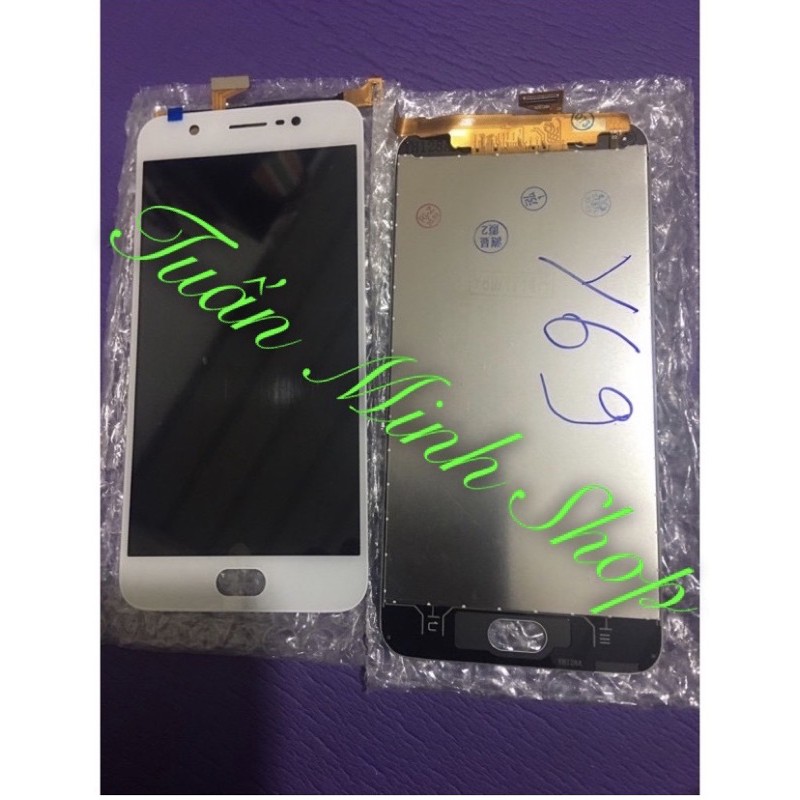 Màn hình Vivo Y69