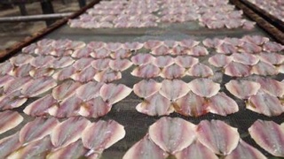 Cá chỉ vàng khô 500 gr