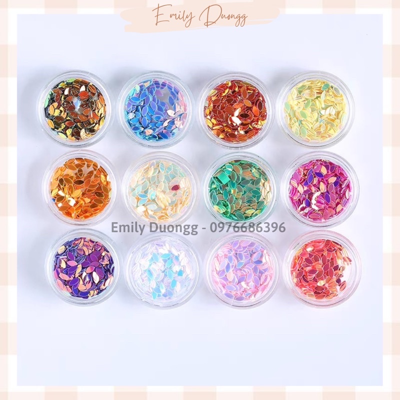 Set 12 màu nhũ hạt gạo trang trí móng, set hạt gạo nail