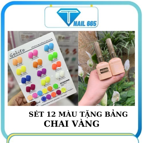 Sơn gel Neon sét 12 màu cao cấp , Sét sơn móng tay nail tặng kèm bảng màu