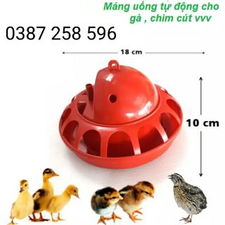 MÁNG UỐNG NƯỚC TỰ ĐỘNG CHO GÀ CON CHIM CÚT