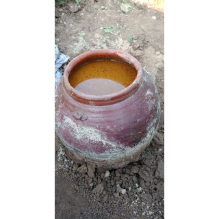 500 ml Cốt nghệ hạt gấc (face)