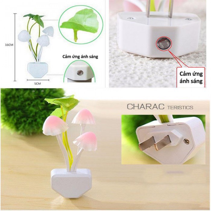 Đèn ngủ avatar hình nấm cảm ứng ánh sáng đổi màu procare -dc3769 | BigBuy360 - bigbuy360.vn