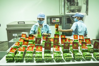 Trà Ô Long Tứ Quý Phương Nam
