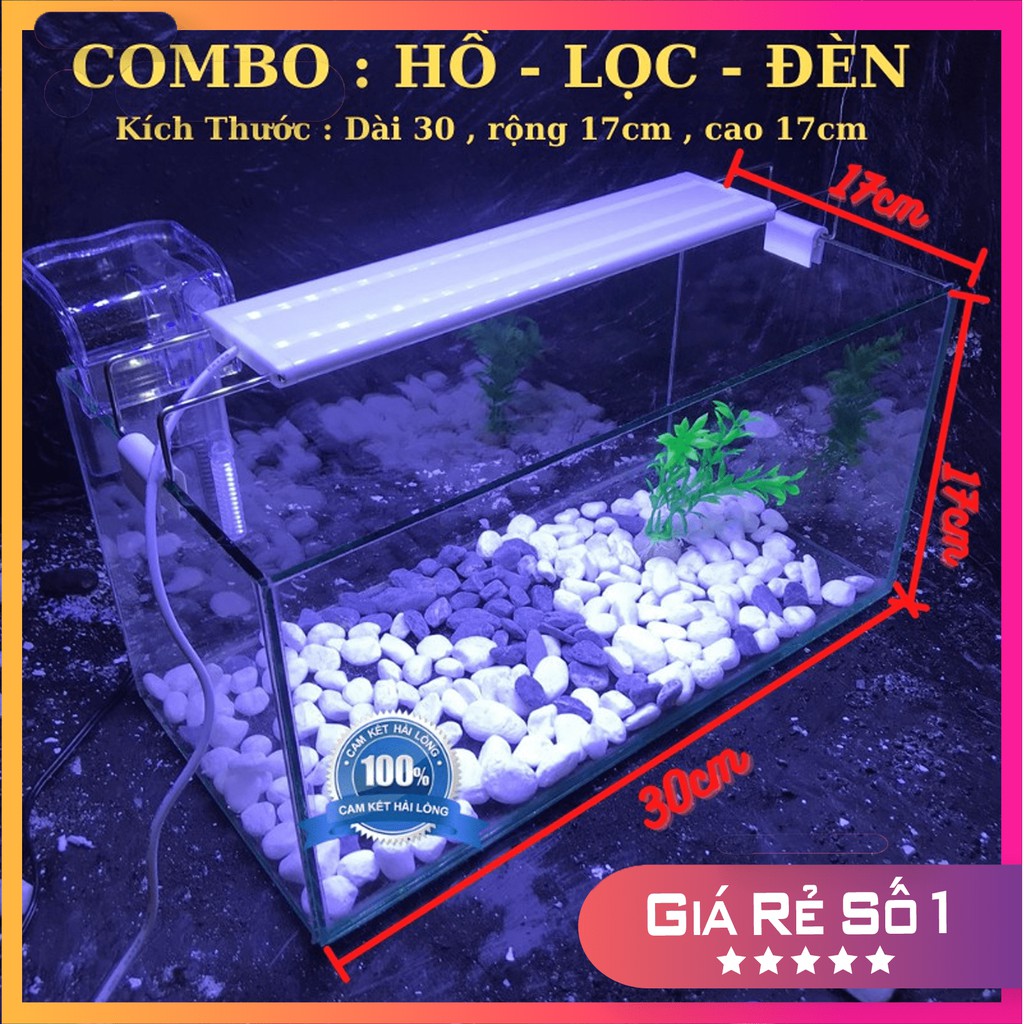 Bể cá mini COMBO ĐẦY ĐỦ D30R17C17 đã bao gồm 5 món phụ kiện