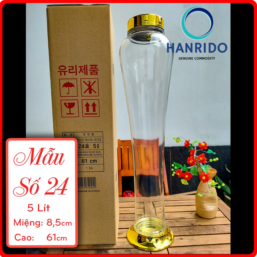 Bình ngâm rượu thủy tinh Hàn Quốc 5L hình Trụ tròn - HANRIDO. Phóng sâm - Sang trọng - Sức khỏe