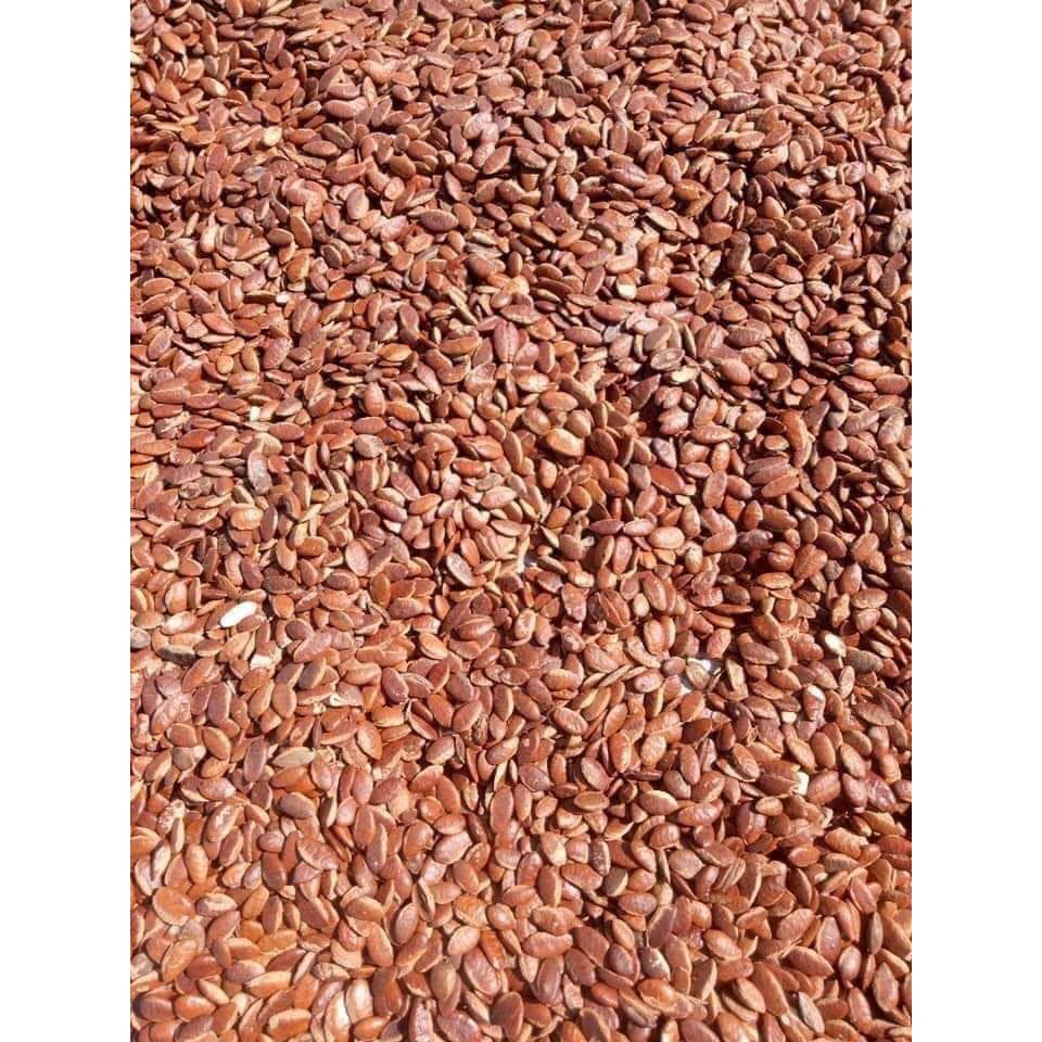 Hạt kơnia rừng sống 500gr