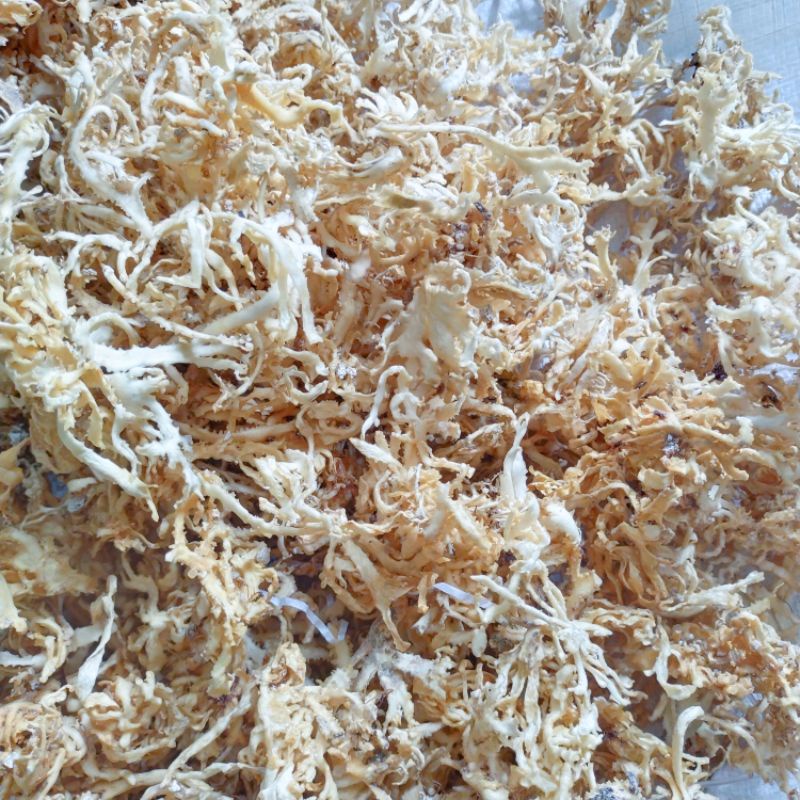 500gr rong biển  chân vịt lý sơn loại dẻo ngon không chất tẩy