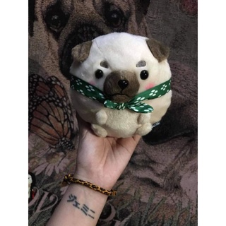 Bóp chó Shiba ( Pug )