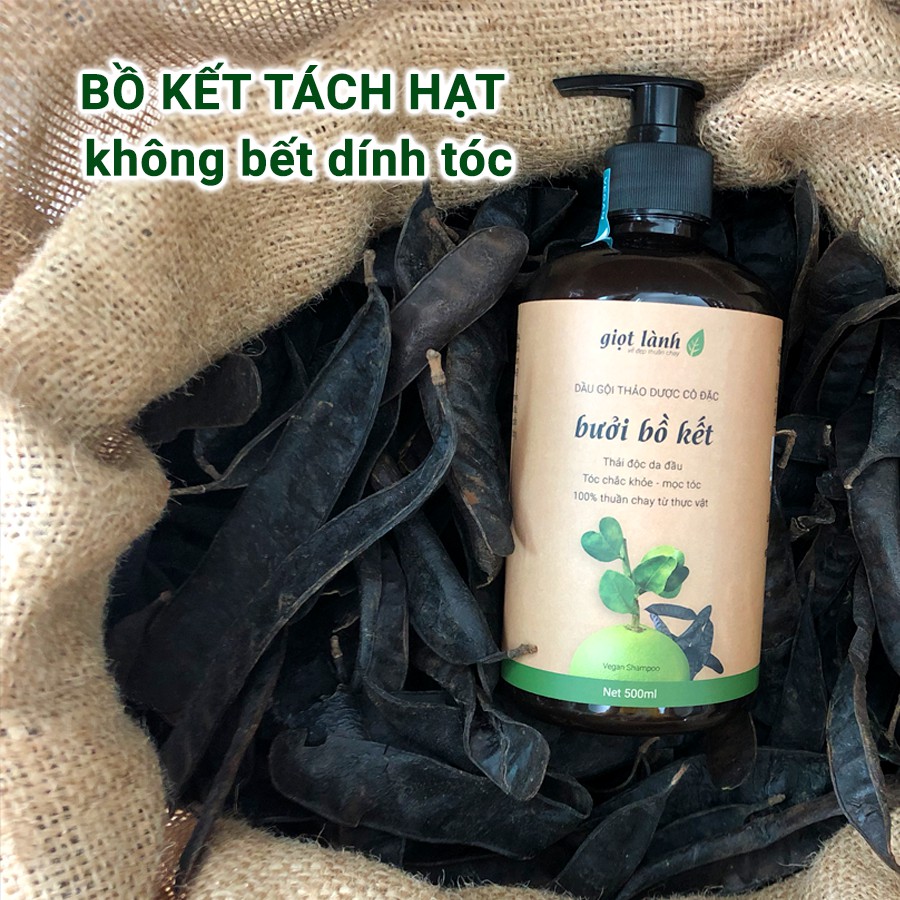 Cặp gội xả, dầu gội đầu bồ kết đun cô - Dầu xả thiên nhiên dừa oliu giúp kích thích mọc tóc, giảm rụng Giọt Lành