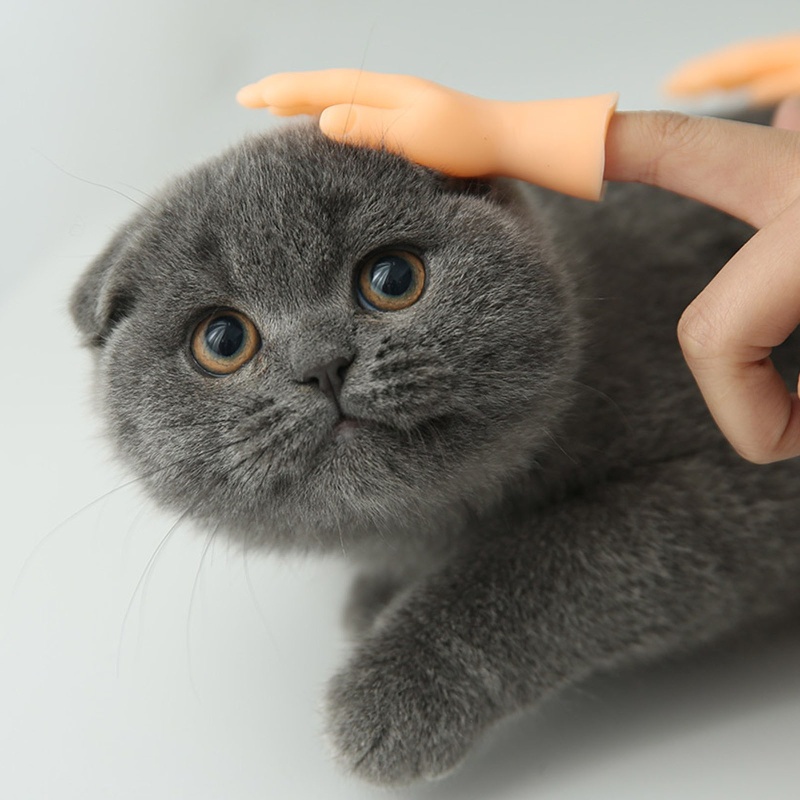 Rối Ngón Tay Hình Chó Mèo Dễ Thương