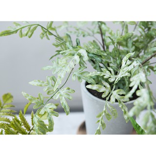 Cây giả decor trang trí loại nhỏ