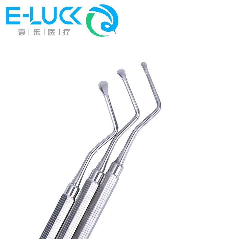 1 Cây Đánh Răng Bằng Thép Không Gỉ