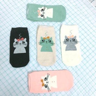 combo 5 đôi vớ mèo cute