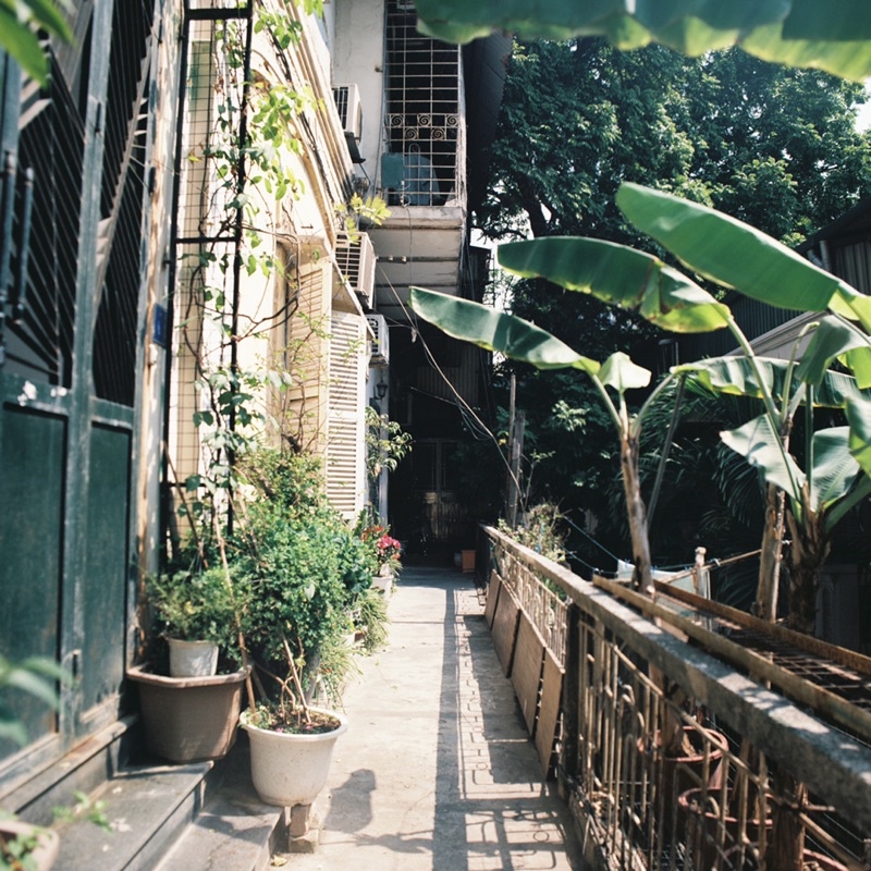 [Hanoi Film] Phim Cinestill 800T