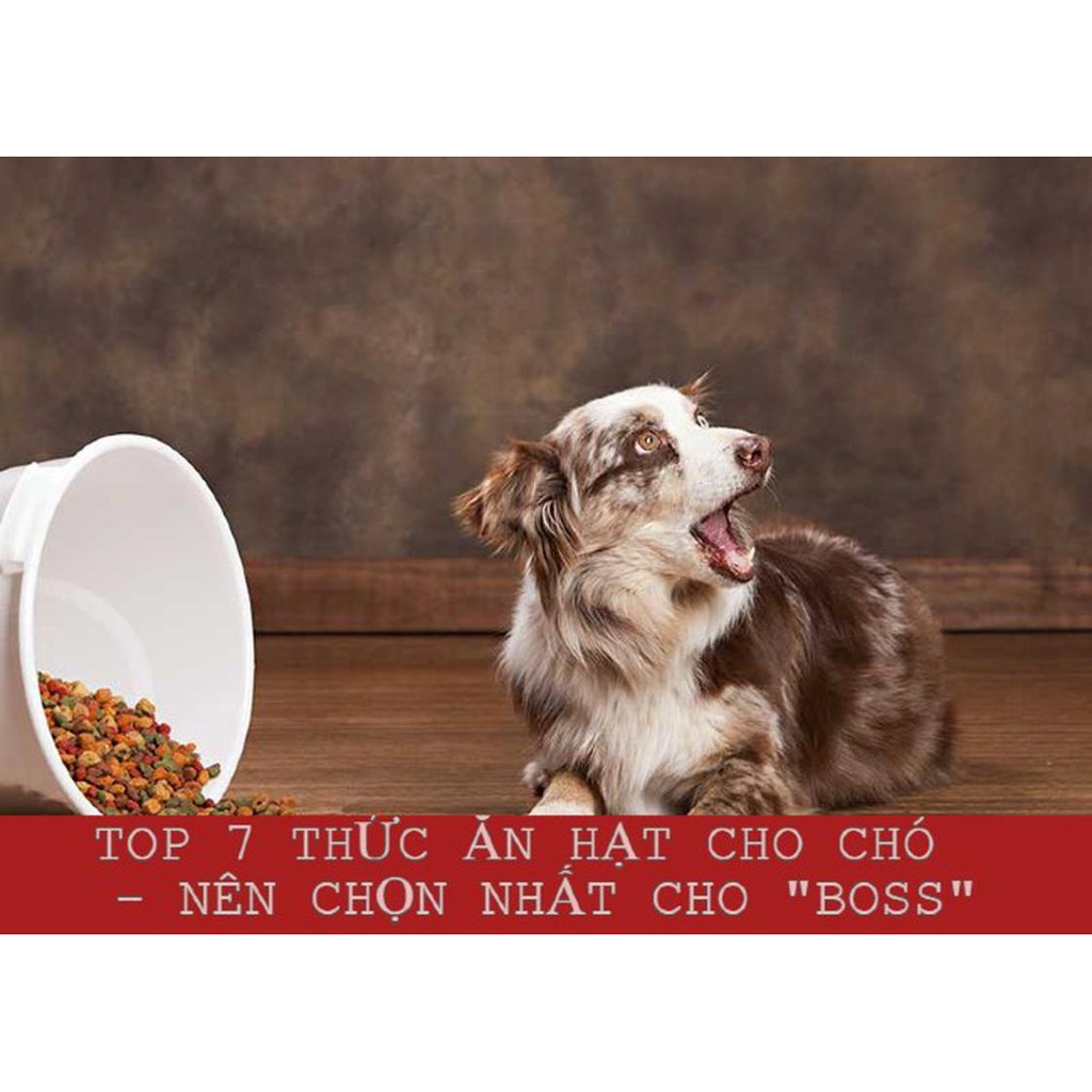 1kgTHỨC ĂN HỮU CƠ NATURAL CORE S2 THỊT CỪU CHO CHÓ Ngăn ngừa dị ứng nhờ phương pháp thủy phân độc quyền của Natur