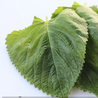 0.5gr hạt giống lá vừng hàn quốc