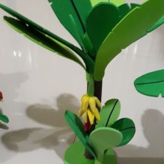 Cây chuối đồ mầm non