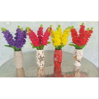 Hoa Phi Yến Và BonSai