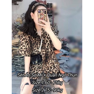 Set Áo Sơ Mi + Quần Ngố Thun [ Bigsize 60 - 90kg]