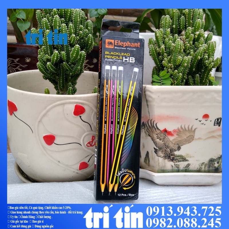 Bút Chì Gỗ HB Có Gôm Tẩy