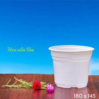 Combo 10 chậu nhựa trắng trồng cây, bền chắc