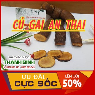 Combo 2Kg Củ Gai An Thai Tươi - Hàng Loại 1 - Thảo Dược Uy Tín
