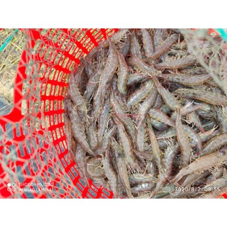 Tôm khô nhà làm loại đặc biệt