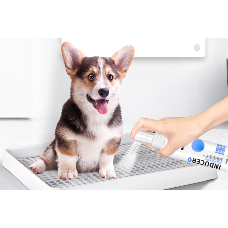 Xịt định vị vệ sinh chó mèo, tập thói quen đi vệ sinh đúng chỗ cho thú cưng PET INDUCER BORAMMY 120ml