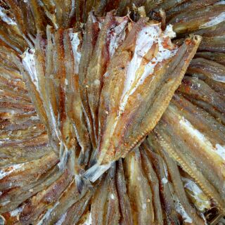 Khô cá mối 1kg