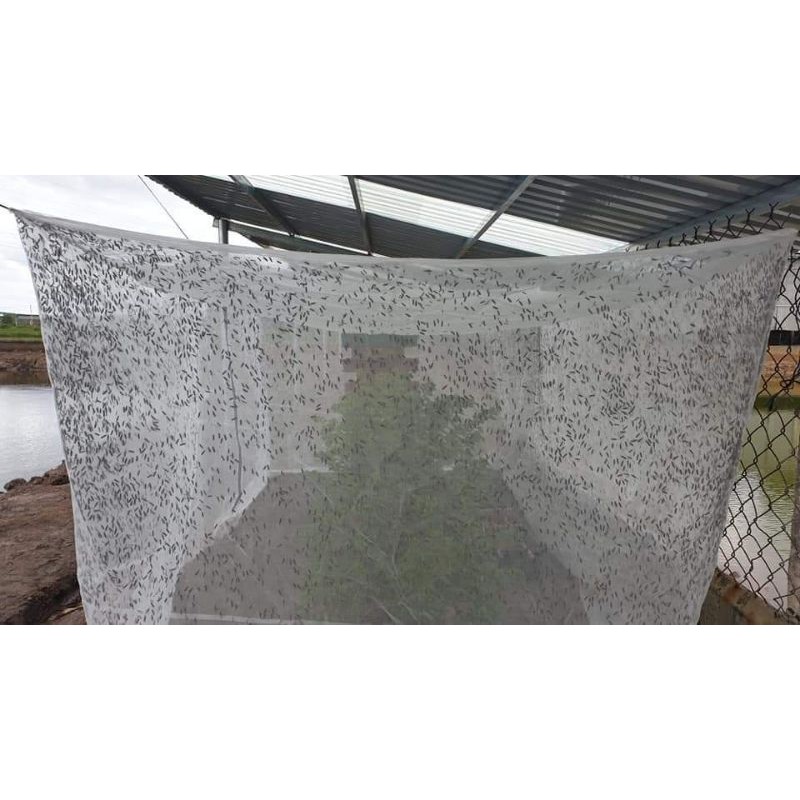 Mùng nuôi ruồi lính đen - lưới thái lan ( mai dung )