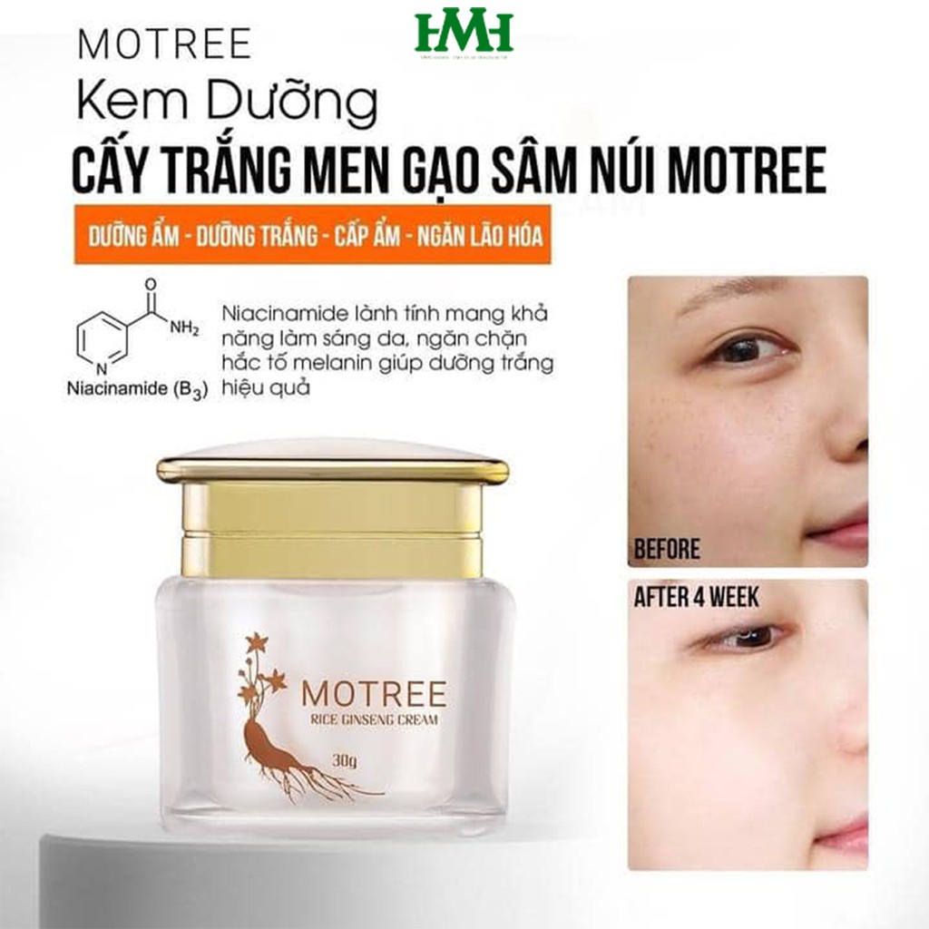 [Chính hãng Motree] Kem dưỡng da ban đêm - Cấy trắng Men Gaọ + Sâm Núi | BigBuy360 - bigbuy360.vn